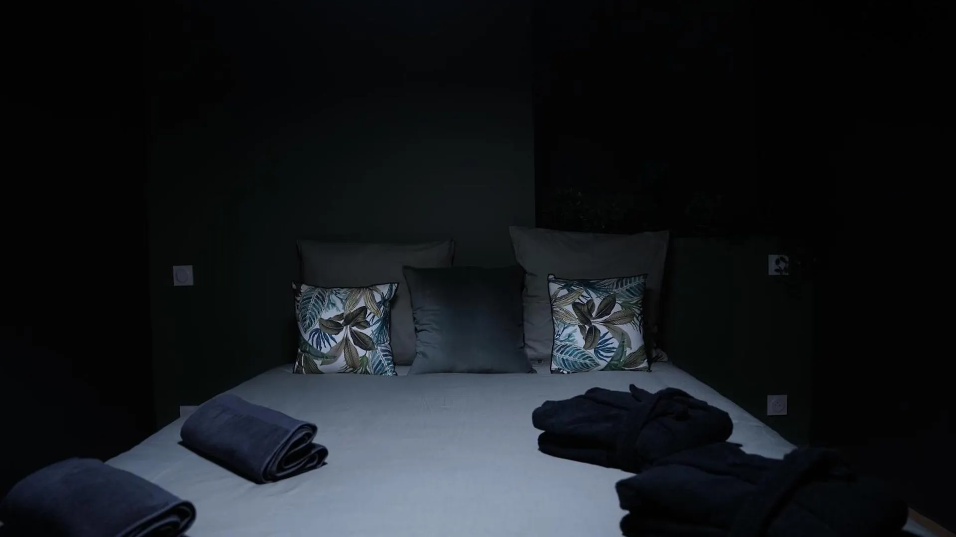 Junglia Suite - Spa & Cine Bourg-en-Bresse Frankrike